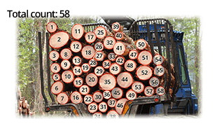 Count logs from images.